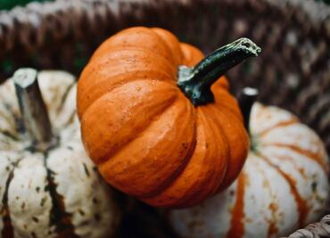 8 beneficios que obtienes al comer calabaza esta temporada