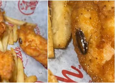 Video. Mujer encuentra cucaracha en pollo de restaurante de Florida
