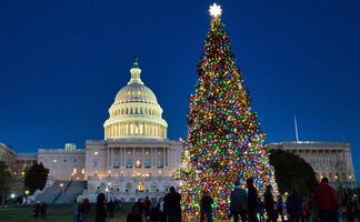 10 actividades de temporada para una Navidad 'mágica' en Washington DC