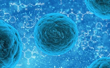 CDC alerta de bacteria que produce enfermedad rara y grave