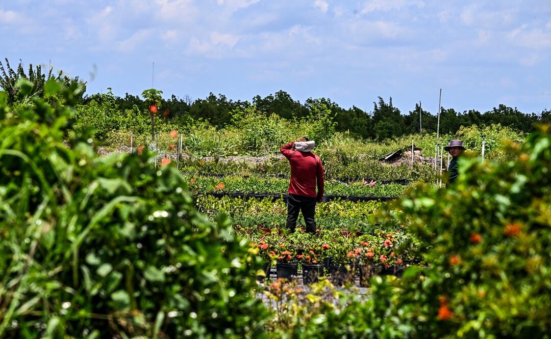 Migrantes en Florida (Photo by CHANDAN KHANNA / AFP)