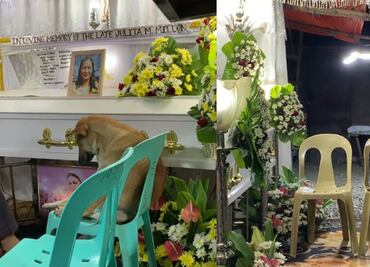 Perrito asiste al funeral de su dueña y su reacción entristece en redes sociales. VIDEO