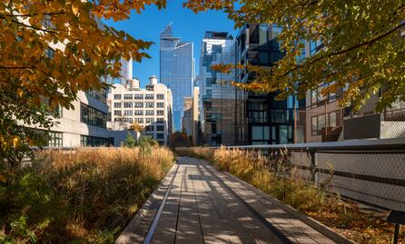 High Line de Nueva York: el parque elevado que se construyó sobre una vía ferroviaria