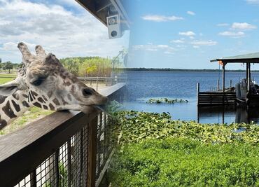 Wild Florida: Así es el parque safari donde también te adentras a los pasajes de Florida