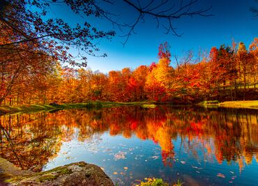 Explora los destinos imperdibles para disfrutar del Otoño en Estados Unidos