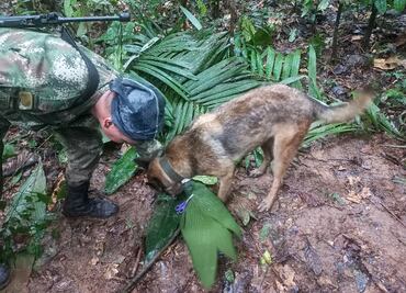 Presidente Petro se retracta sobre rescate de 4 niños en selva colombiana