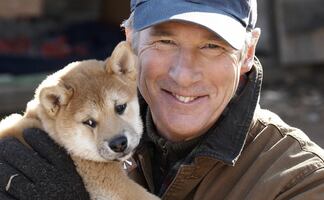 Los perros más famosos que conquistaron la pantalla grande