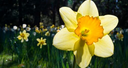 Una 'joya' natural de California cierra por exceso de turistas 