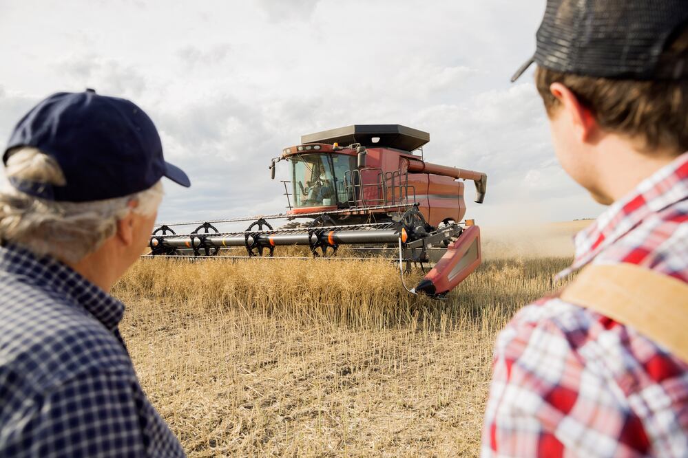 Trabajadores agrícolas/ iStock/ Hero Images