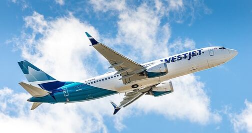 Video. Asistente de vuelo divierte a pasajeros con indicaciones de seguridad