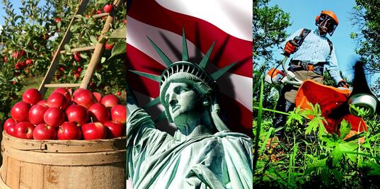 Mexicanos, elegibles para visas de EU de agricultura, jardinería y limpieza