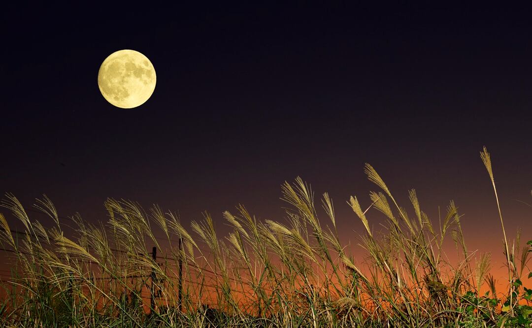 Luna Llena de octubre 2025. Así se verá la primera Superluna del año desde México. HORA EXACTA Foto: iSTOCK/Beautiful Fireworks