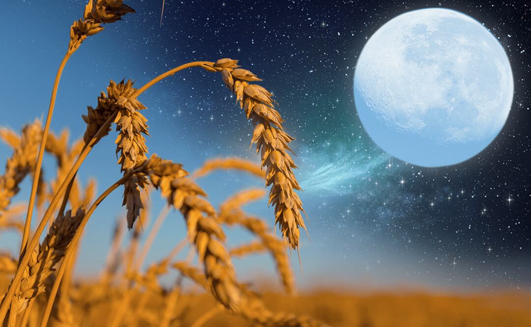 Equinoccio de otoño, Luna llena de Cosecha y un eclipse; lo imperdible de septiembre. Foto: iStock