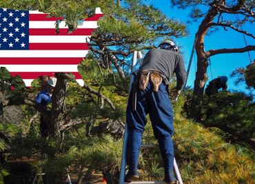 ¿Cuánto gana un trabajador forestal en Estados Unidos? ¿Hay vacantes?