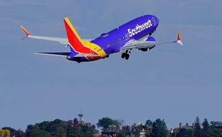 Mujer acusa a aerolínea por dejar morir a su perro durante un vuelo