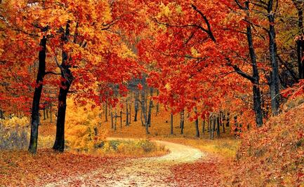 9 mejores lugares en EU para apreciar el follaje de otoño