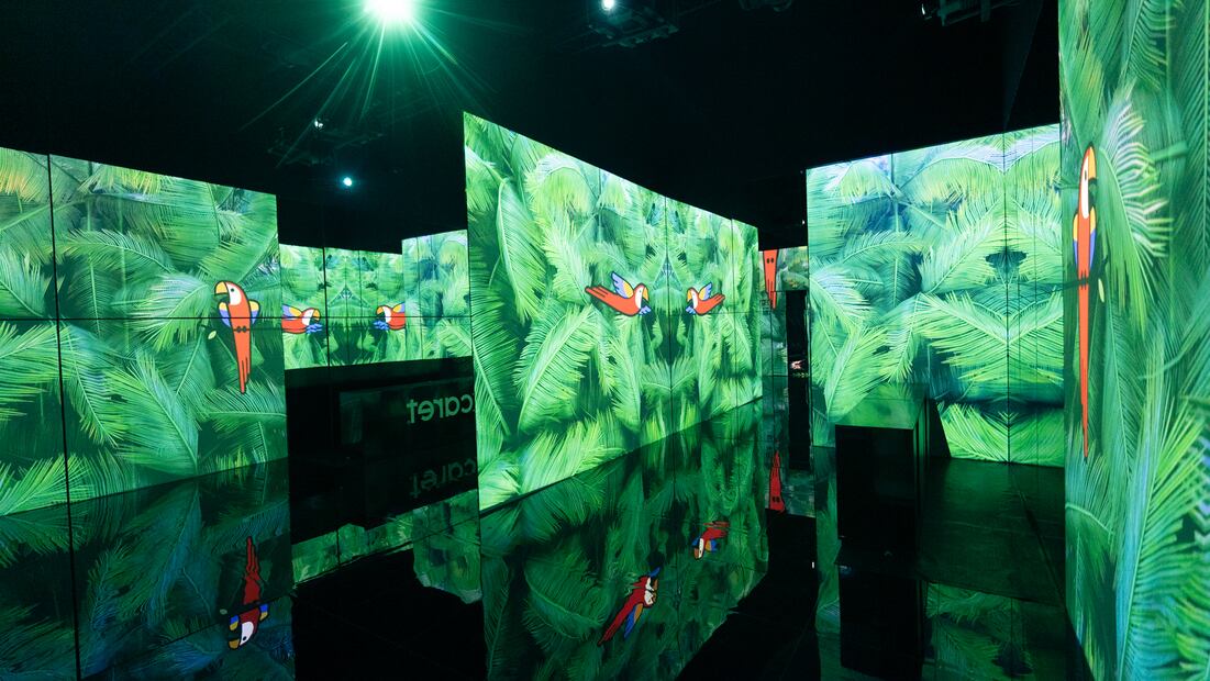 Foto: Cortesía Grupo Xcaret