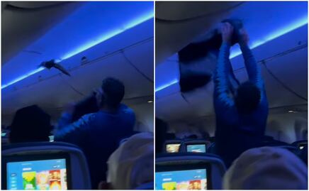 ¡Caos en el aire! Palomas invaden vuelo de Delta y obligan a abortar despegue