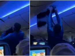 ¡Caos en el aire! Palomas invaden vuelo de Delta y obligan a abortar despegue