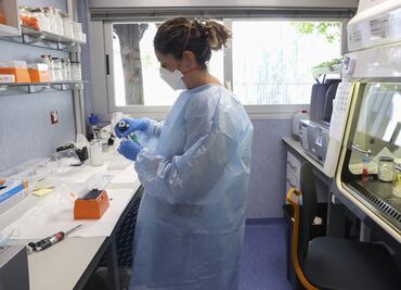 Asombroso fenómeno: Moscas modificadas genéticamente se reproducen sin macho