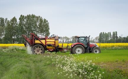 Buscan trabajadores agrícolas en rancho de Texas: Este es el salario y así puedes aplicar