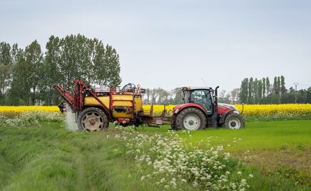Buscan trabajadores agrícolas en rancho de Texas: Este es el salario y así puedes aplicar