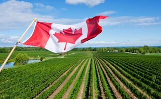 Inician contrataciones 2023 de trabajadores agrícolas mexicanos que van a Canadá