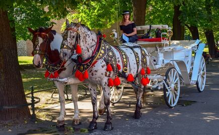 Central Park en carruaje, el plan más romántico para San Valentín