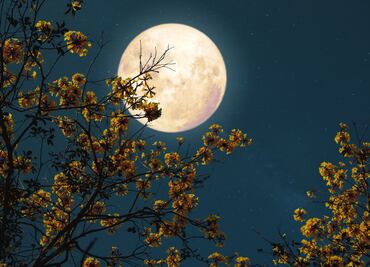¿Cuándo hay Luna llena en mayo? Lo que debes saber de la Luna de Flores y de la Microluna