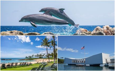 Las mejores experiencias de viaje de Estados Unidos en 2022, según TripAdvisor