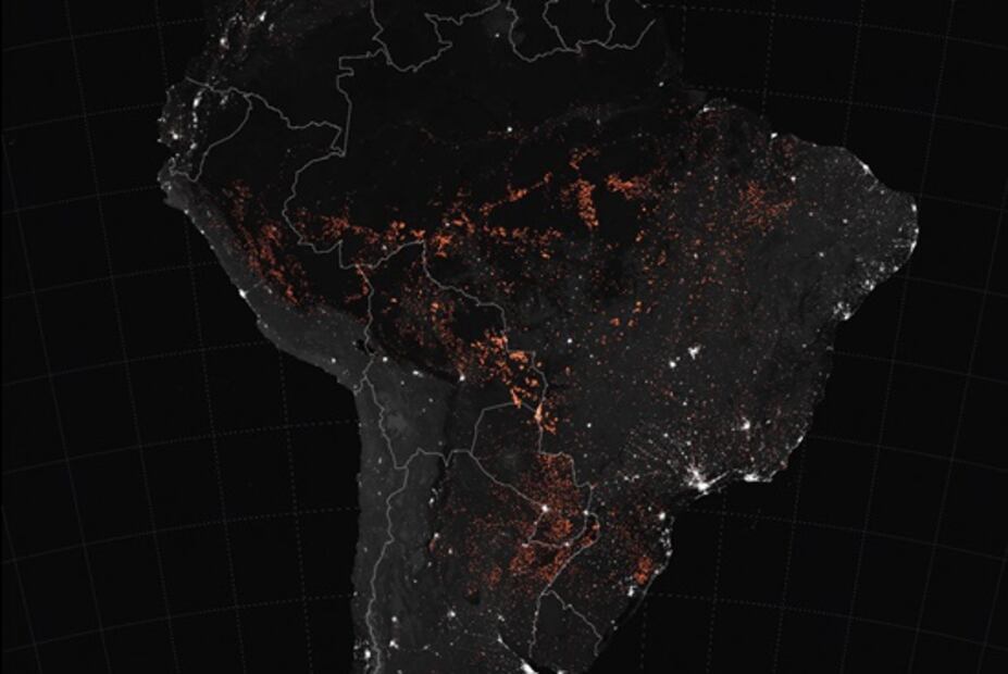 ¿Por qué urge frenar los incendios del Amazonas?