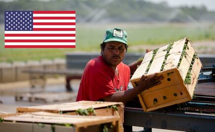 Lista de elegibles para solicitar visa de trabajo en EU (campo y oficios)