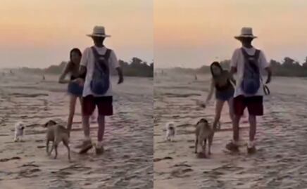 Turista extranjera agrede con botella a perrito mestizo en playa de Oaxaca y desata indignación. VIDEO