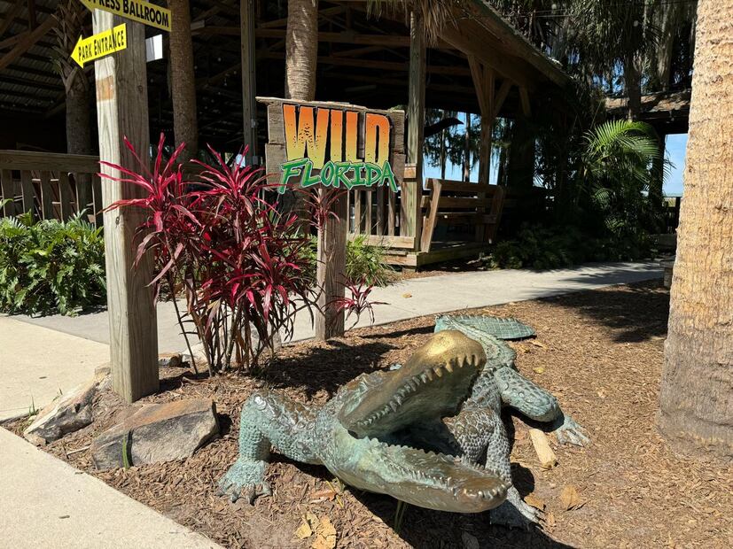 Wild Florida