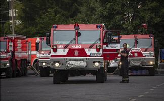 Hombre intenta quemar araña con encendedor y causa incendio forestal