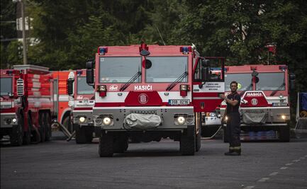 Hombre intenta quemar araña con encendedor y causa incendio forestal
