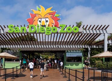Niños tendrán entrada gratis al Zoológico de San Diego en octubre