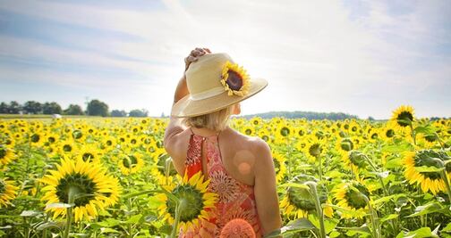  Explosión de color con campos de girasoles en Dakota del Norte