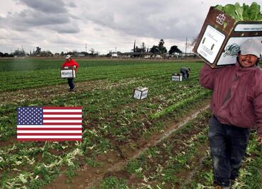 Las 10 empresas de EU con más peticiones aprobadas para trabajadores agrícolas