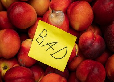 ¡Cuidado! Cofepris alerta sobre frutas de Estados Unidos contaminadas con bacterias