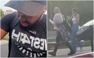 Insectos extraños invaden Nueva York; usuarios los comparan con "plaga bíblica"