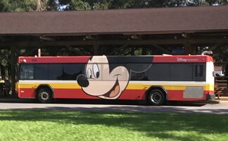 Buscan choferes de autobuses para trabajo en Disney World; pagan 17 dólares la hora