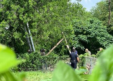 Migrante en EU pasó ocho horas subido a un árbol para evitar ser arrestado por migración