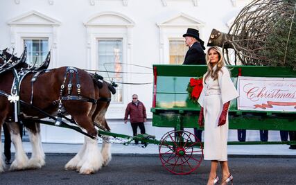 Melania Trump reaparece y desata furor al recibir el árbol de Navidad de la Casa Blanca: así fue su elegante bienvenida
