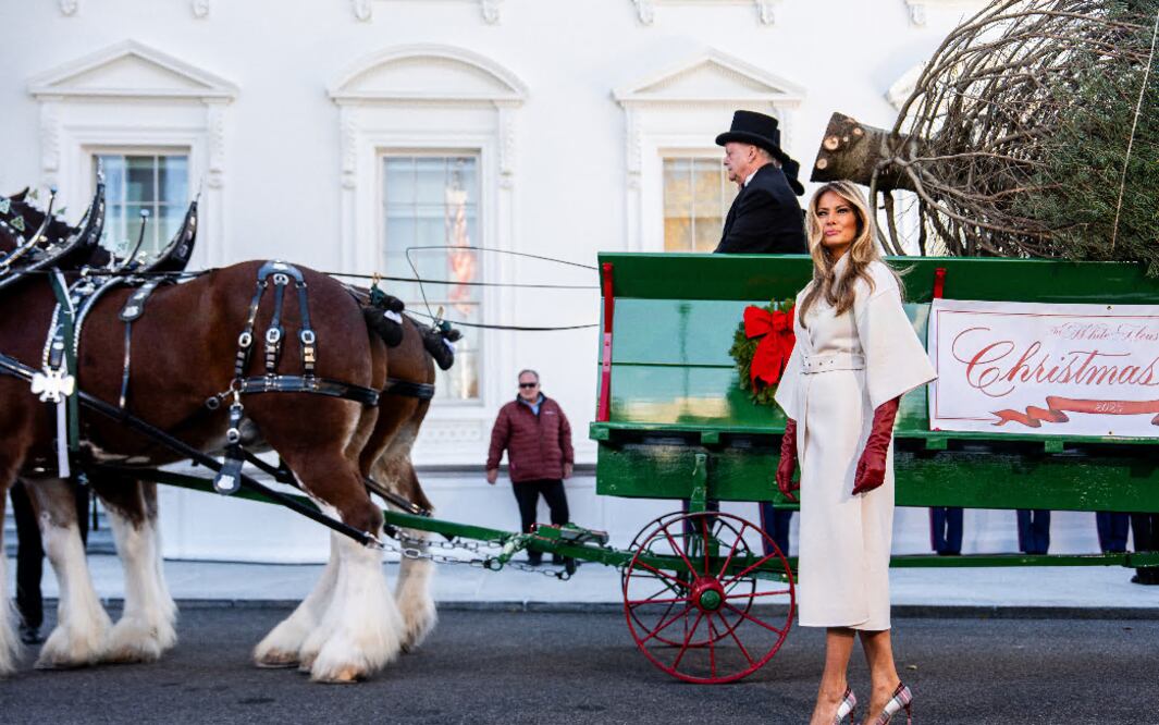Melania Trump reaparece y desata furor al recibir el árbol de Navidad de la Casa Blanca: así fue su elegante bienvenida. (AP Photo/Julia Demaree Nikhinson)