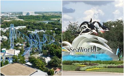 Así será la nueva montaña rusa de surf que abrirá SeaWorld Orlando 