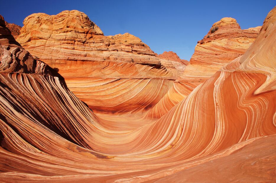 The Wave in the Vermilion Cliffs National Monument. Foto: iStock