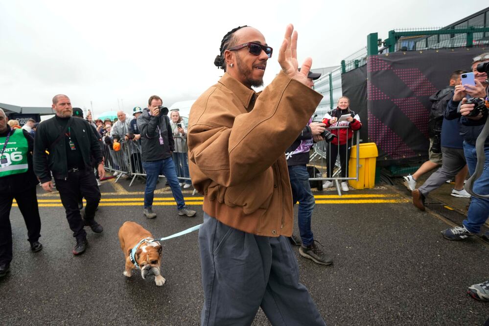 Hamilton anuncia entre lágrimas la muerte de Roscoe, el bulldog estrella con 1.4M de seguidores: “Mi mejor amigo”. (AP Photo/Luca Bruno, File)