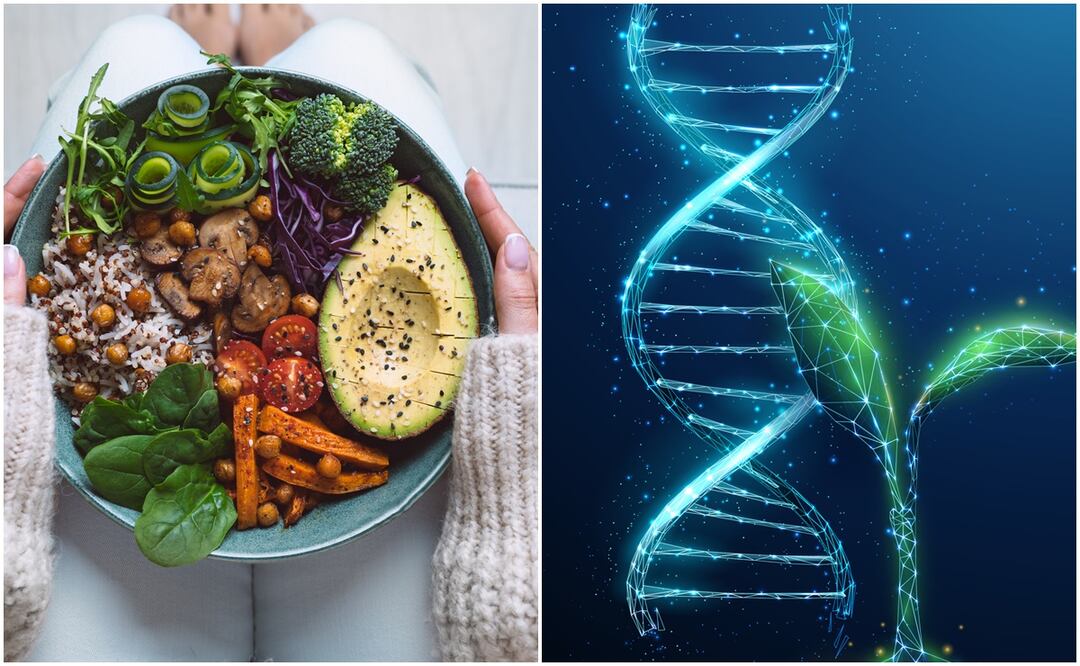 El vegetarianismo podría estar “escrito” en los genes, dice estudio. Foto: iSTOCK-Alena Butusava-Daria Kulkova