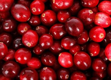 Beneficios de comer arándanos: alimento superantioxidante que mejora la memoria
